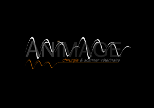 Animage Brest-Guipavas Scanner veterinaire et chirurgie